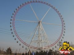 Ferris Wheel series » TP-FW88A
